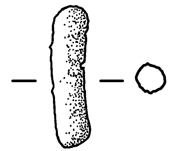 BC 0645C/870<br>Cross section diameter=0.5 cm.
Oval cross section.
