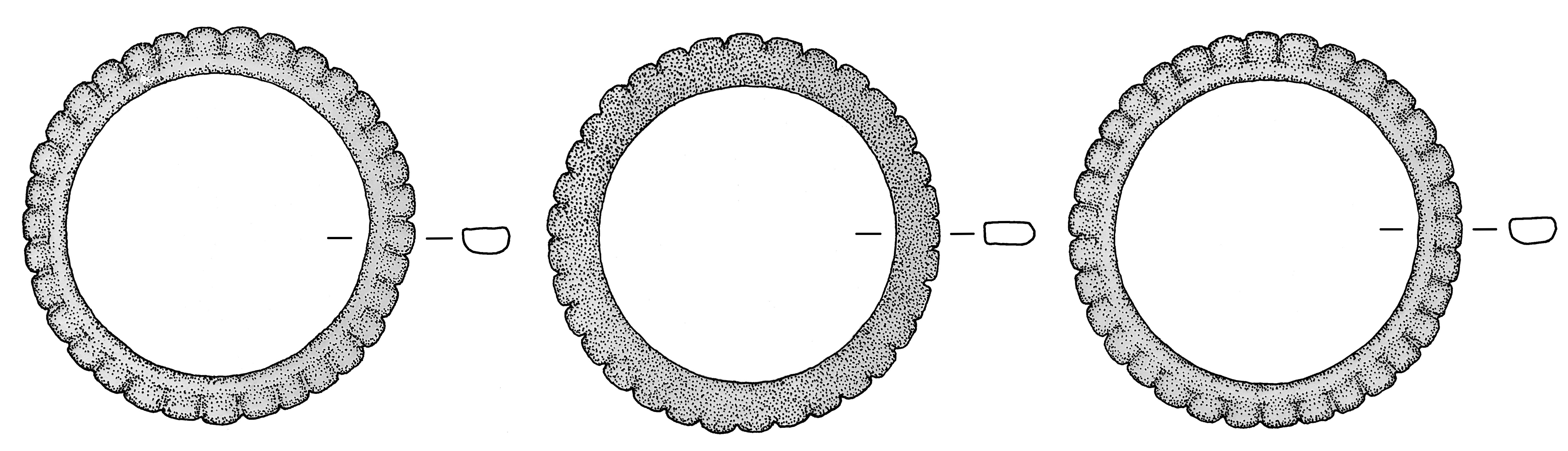 BC 0708B/1594<br>outer diameter=6.8 cm
inner diameter=5.1 cm
shaft height=0.4 cm
shaft width=0.8 cm
scalloped edges
Object is one of three rings: one ring has flat top and bottom surfaces, two rings have one flat and one convex surface, allowing the rings to fit together as a set. Knobs are 0.5 cm. 